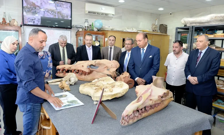 اكتشاف عالمى جديد لمركز الحفريات بجامعة المنصورة فرعون الحيتان مات صغيراً قبل 41 مليون سنة