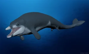 اكتشاف عالمى جديد لمركز الحفريات بجامعة المنصورة فرعون الحيتان مات صغيراً قبل 41 مليون سنة
