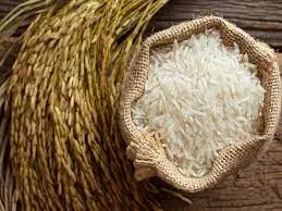 "أزمة الأرز" الهند تفرض قيوداً على صادرات الأرز